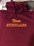 Team Gymclass